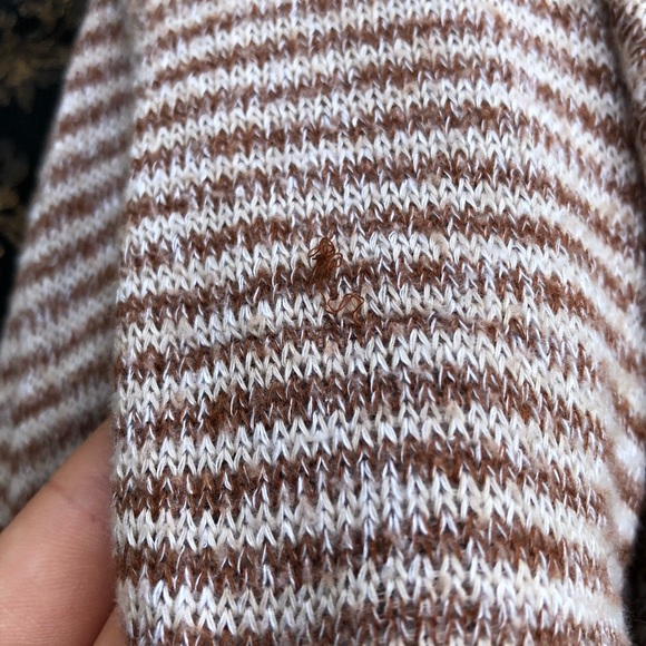 Crop sweater - Picture 3 of 5